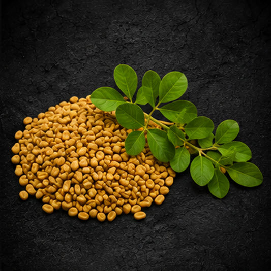 Fenugreek